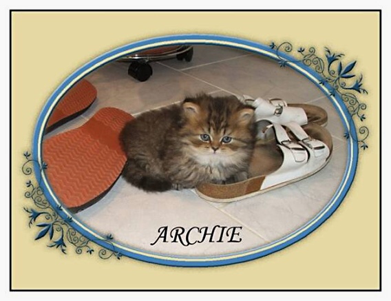 Archie 
